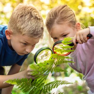 Riaditeľské voľno